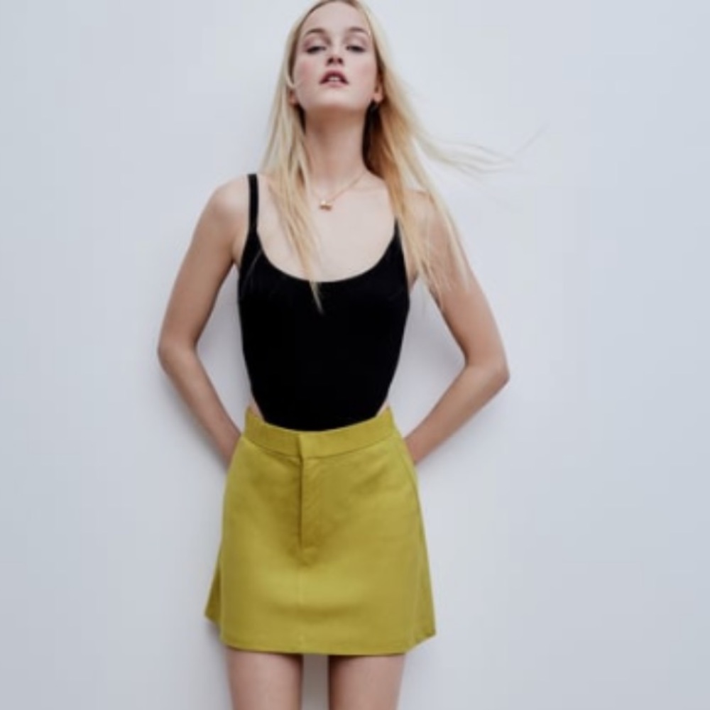 Zara Skirt NWT